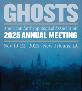 Logo of the American Anthropological Association Annual
				Meeting in New Orleans